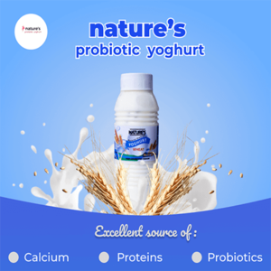 yoghurt_product